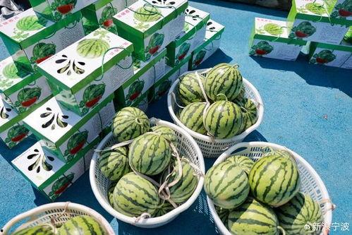 甜的娱乐吃瓜,揭秘娱乐圈甜蜜瓜皮背后的故事