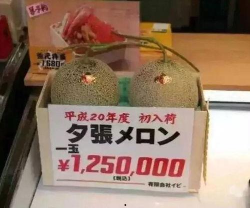 娱乐体育吃瓜圈,三界交汇的瓜界风云