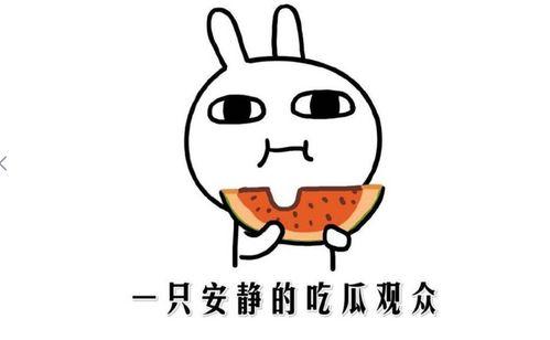 吃瓜的情景