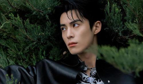 王鹤棣娱乐爆料八卦吃瓜,揭秘娱乐圈背后的八卦风云