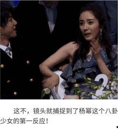 吃瓜娱乐圈八卦400页,吃瓜群众必看八卦盛宴