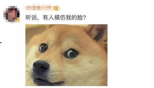 微信表情中的吃瓜是什么意思,揭秘微信表情“吃瓜”背后的趣味与内涵