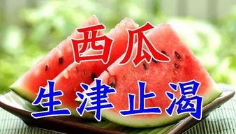 娱乐吃瓜酱6字诀