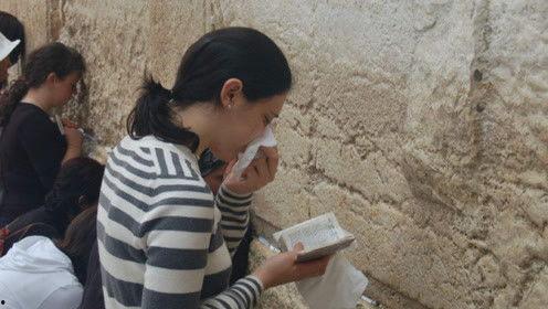 娱乐吃瓜君2,揭秘娱乐圈背后的秘密与八卦