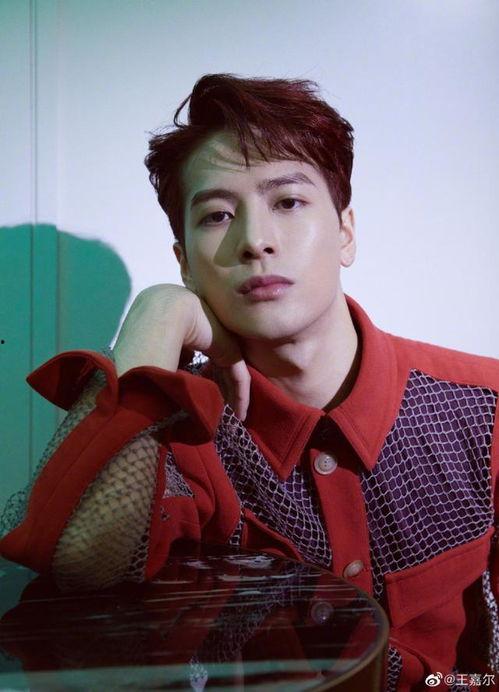 吃瓜娱乐圈王嘉尔是谁呀,娱乐圈的瓜中明星