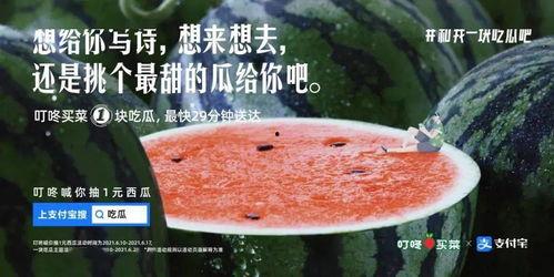 娱乐吃瓜文案图片,吃瓜群众视角下的幕后花絮大公开